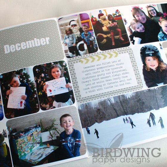 2013 Family Album - Birdwing Paper Designs